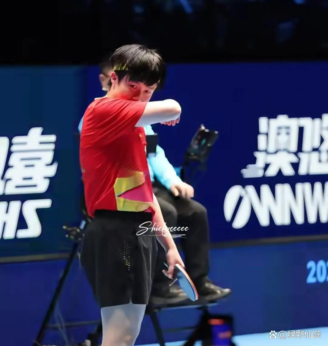 比利时乒乓球队碾压波兰乒乓球队,王皓高光表现的简单介绍 比利时乒乓球队碾压波兰乒乓球队,王皓高光表现的简单介绍