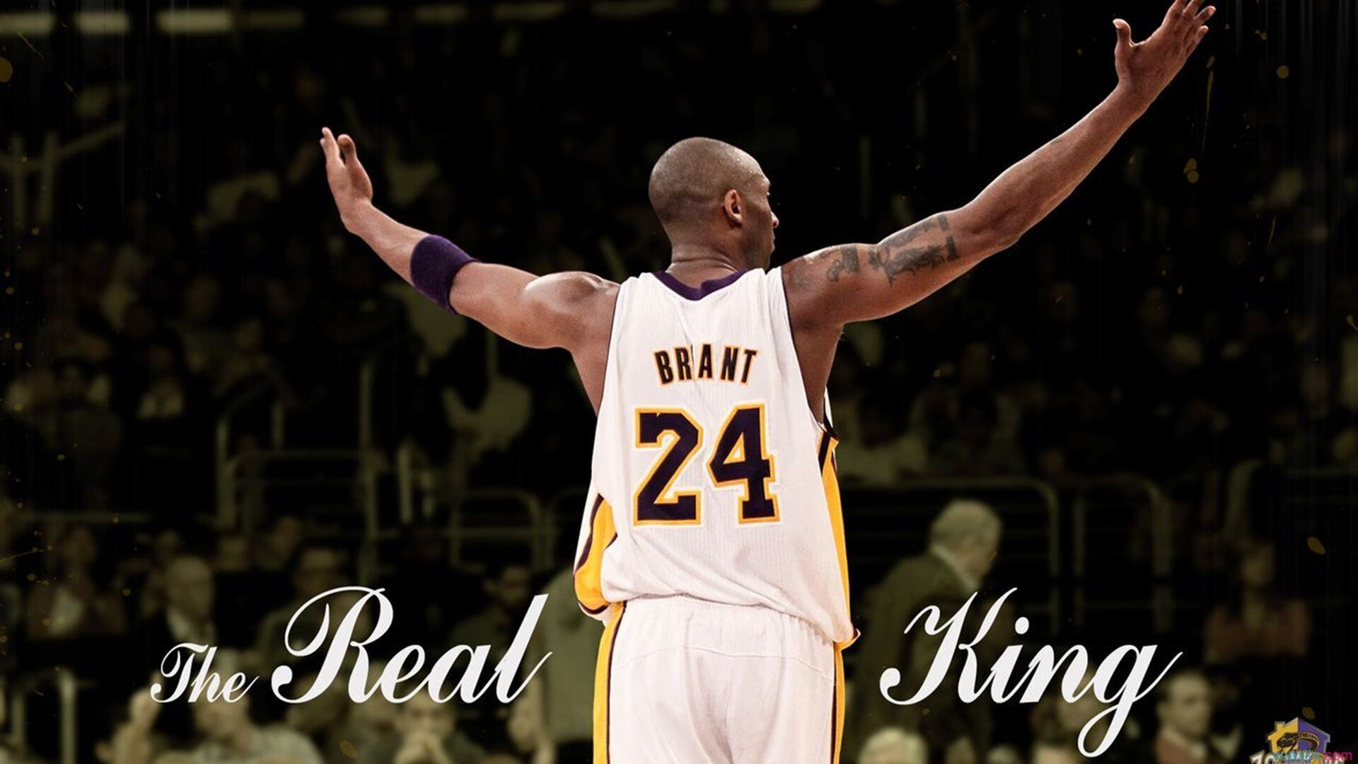 欧冠淘汰赛焦点战，魔术压制深圳队，战术与意志的完美交响